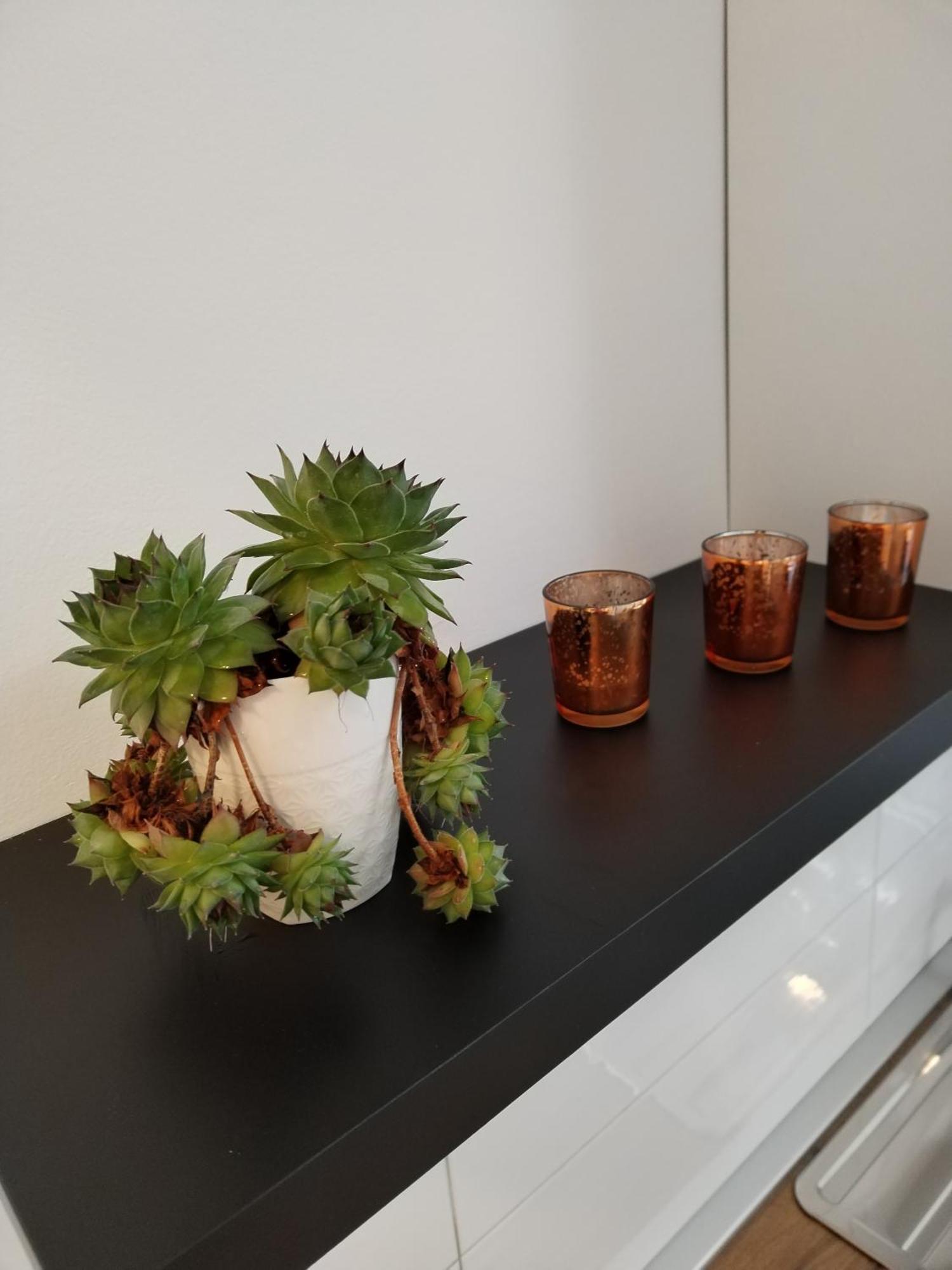 Apartments Mirijana Pula Ngoại thất bức ảnh
