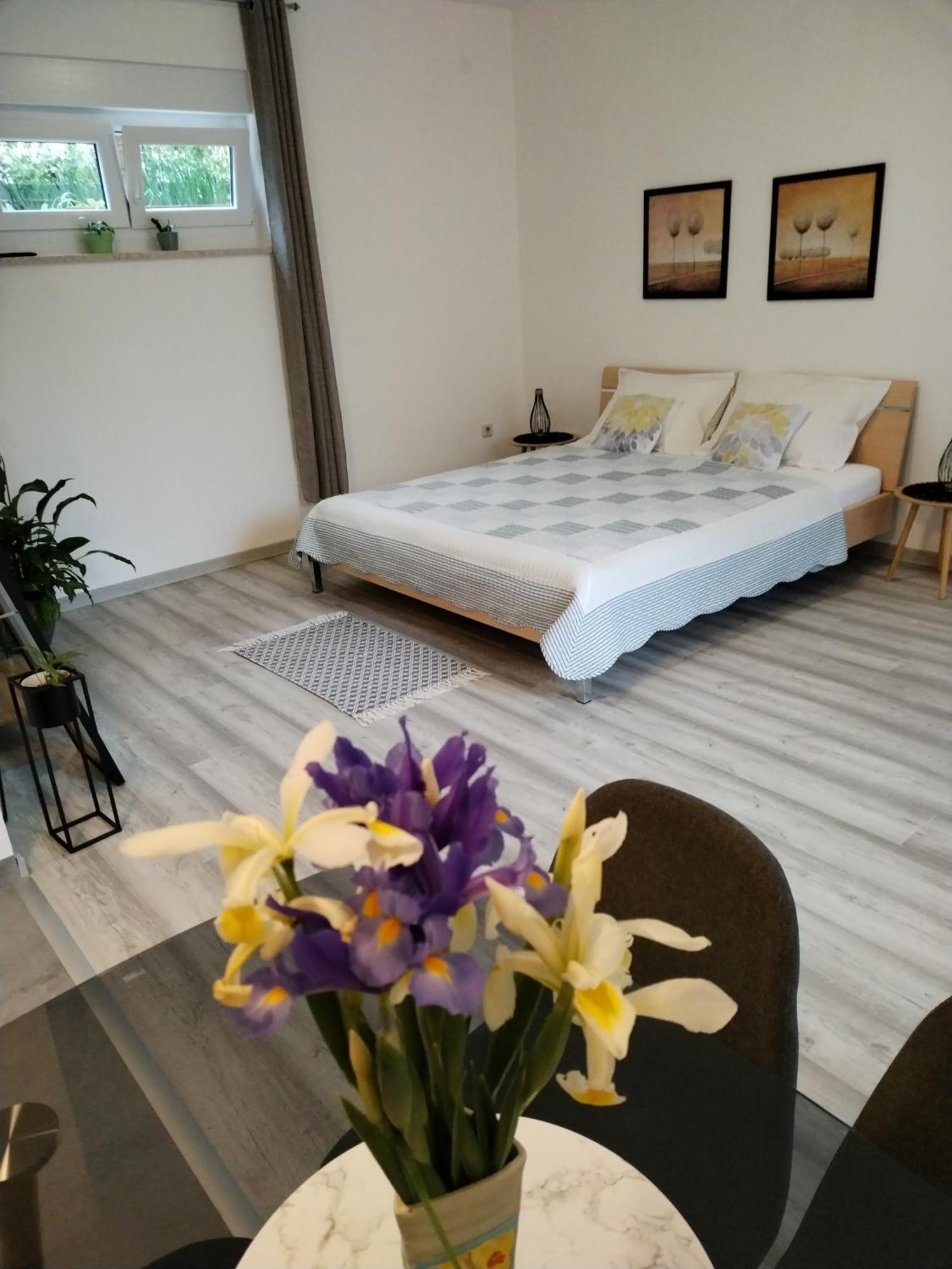 Apartments Mirijana Pula Ngoại thất bức ảnh